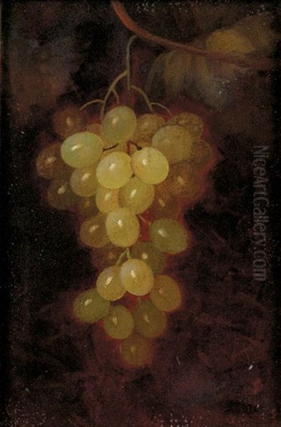 Hanging Grapes - view 1