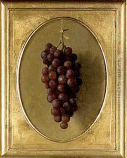 Still-life Of Grapes - view 1