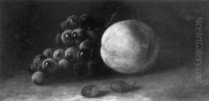 Still Life With Fruits And Nuts by Carducius Plantagenet Ream