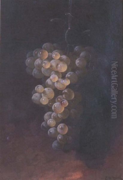 Hanging Green Grapes - view 1