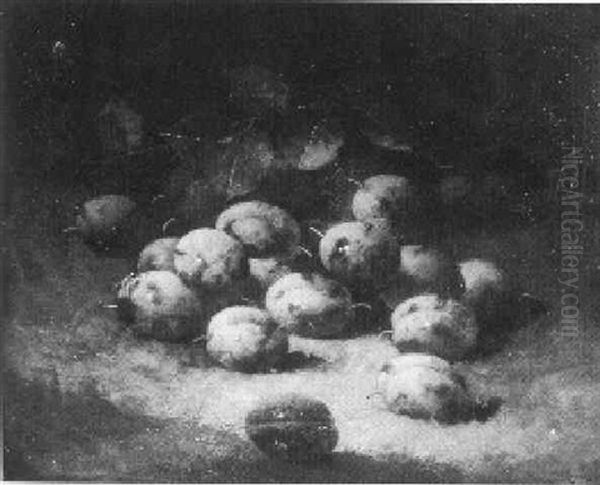 Sill Life With Plums - view 1
