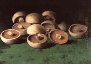 Mushrooms by Carducius Plantagenet Ream