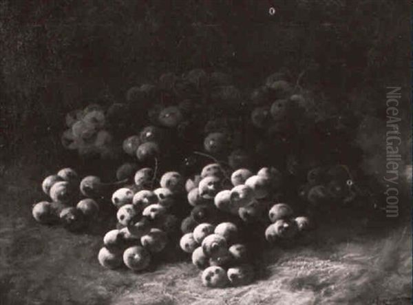 Still Life Of Grapes - view 1