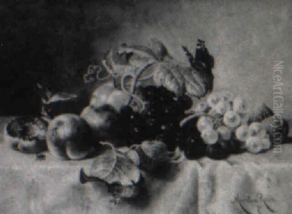 Fruit, With Nuts And Insects - view 1