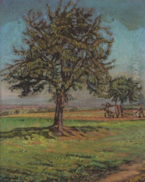 Sommerliche Feldlandschaft - view 1