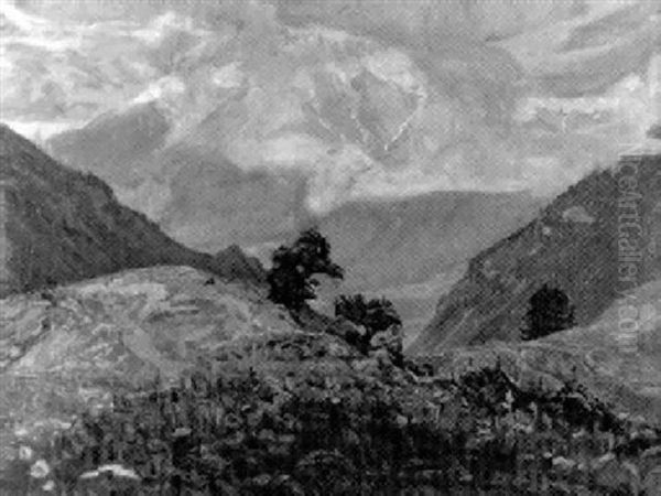 Bergwiesen - view 1