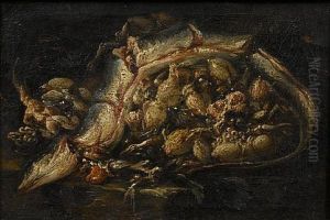 An Eel And Cuttlefish On A Stone Ledge
