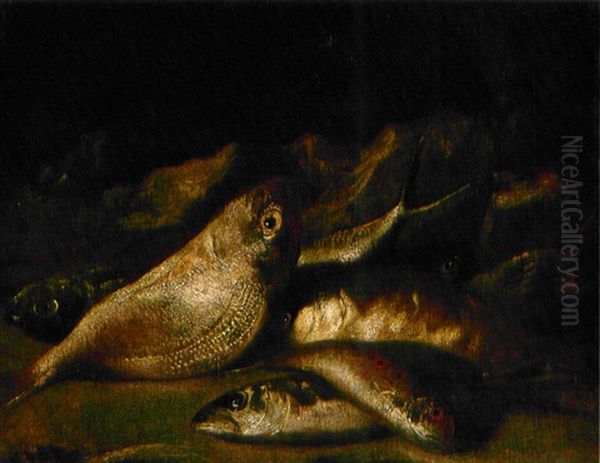 Bodegon De Peces - view 1