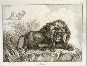 Raccolta Di Diversi Animali by Giovanni Boni