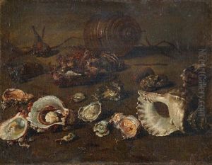 Conch And Oyster Shells On A Stone Ledge by Giuseppe Recco