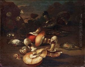 Stilleben Med Faglar Och Svampar by Giuseppe Recco