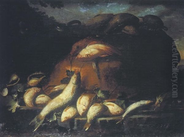 Nature Morte Aux Poissons Avec Une Tortue - view 1