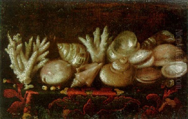 Shells And Coral On A Draped Table - view 1