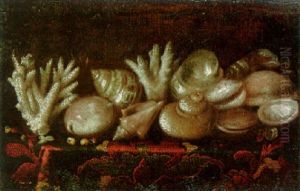 Shells And Coral On A Draped Table