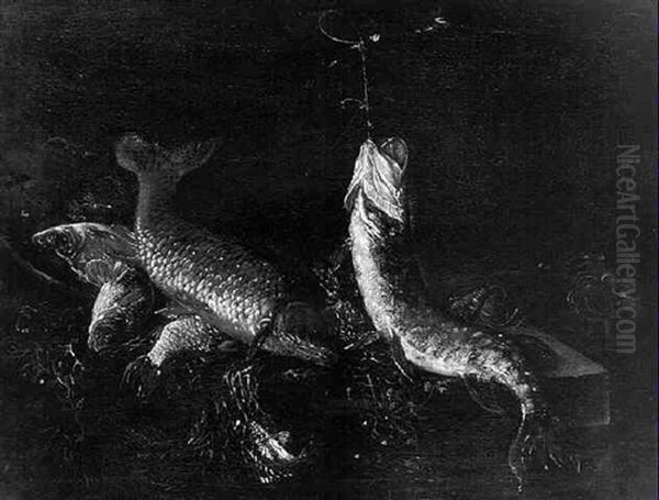 Still Life With Fish On A Ledge Before A Dark Background - view 1