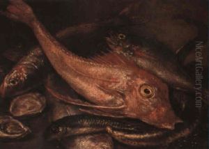 Still Life Of Dead Fish And Oysters