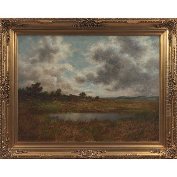 March Landscape - view 1