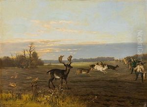 Hunting Fallow Deer And Rabbits