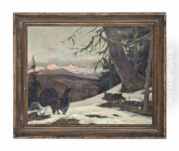 Grouse In A Snowy Forest, On A Mountain Side - view 1