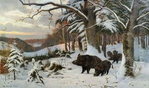 Wildschweine In Winterlandschaft