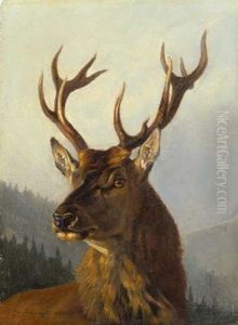 Kapitaler Kronenhirsch