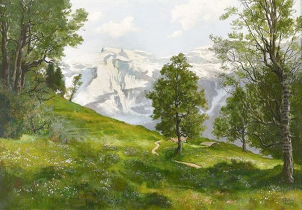Bayerische Alpenpartie Im Fruhling - view 1