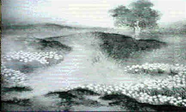 Moor-idylle - view 1