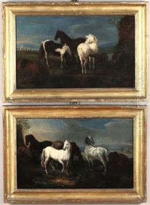 Horses Grazing