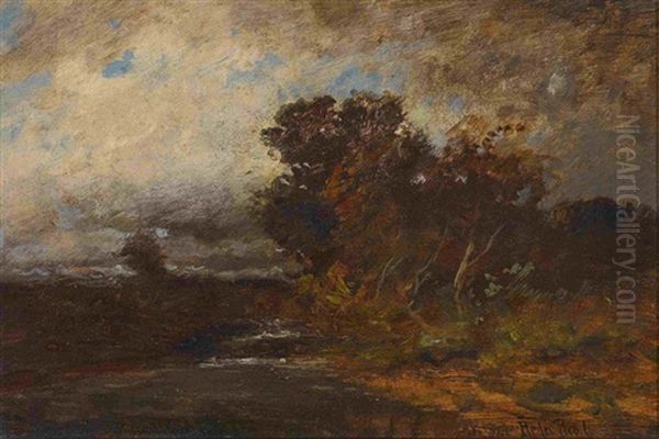 Moorlandschaft - view 1