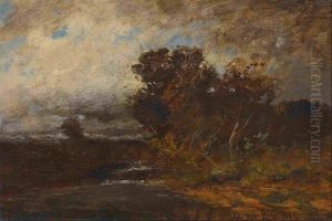 Moorlandschaft