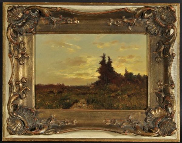 Moorlandschaft Mit Rehen - view 1