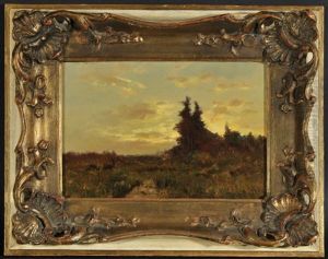 Moorlandschaft Mit Rehen