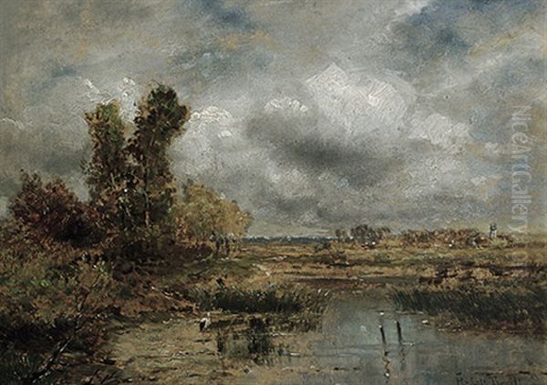Mooslandschaft Mit Storch An Einem Prachtvollen Morgen - view 1