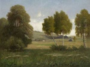 Landschaft Mit Birken