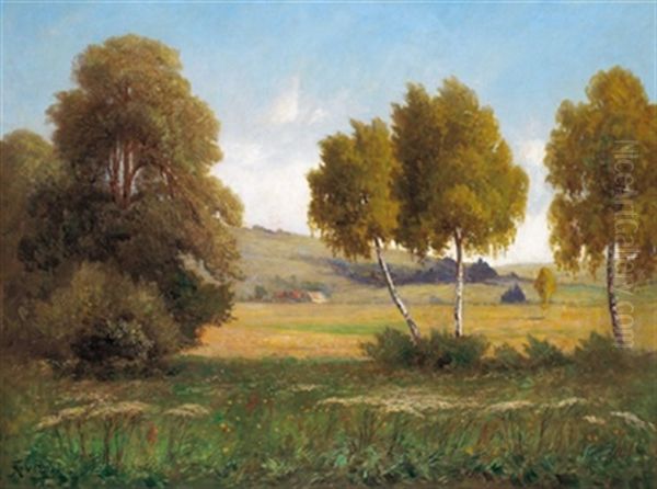 Aulandschaft Mit Birken - view 1