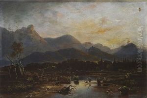 Moorlandschaft Im Voralpenlandschaft