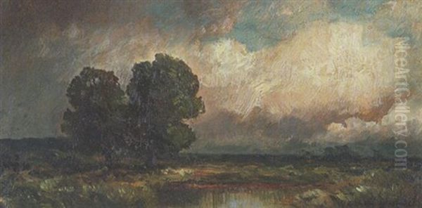 Moorlandschaft - view 1