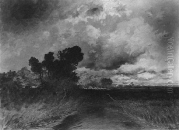 Dachauer Moos Bei Aufziehendem Gewitter - view 1