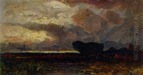 Moorlandschaft - view 1