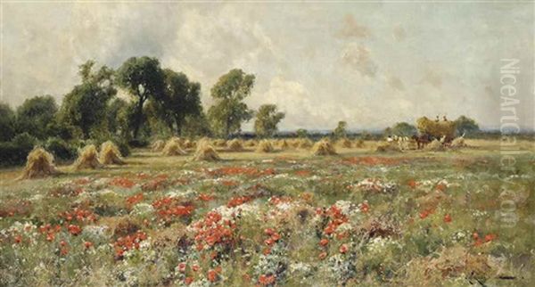 Poppies In Bloom - view 1