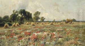 Poppies In Bloom by Arthur William Redgate