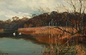 Swans On A Forest Lake by Arthur William Redgate