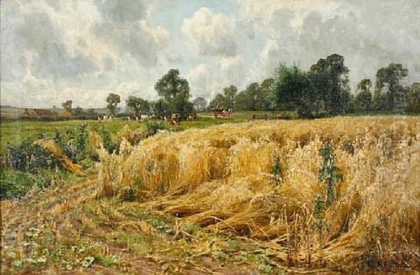 Harvest Time - view 1