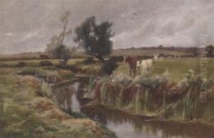 Cattle By A Stream Cattle By A Stream