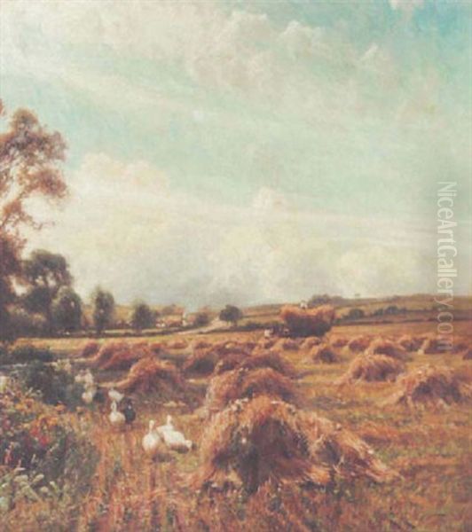 Ducks In A Harvest Field - view 1