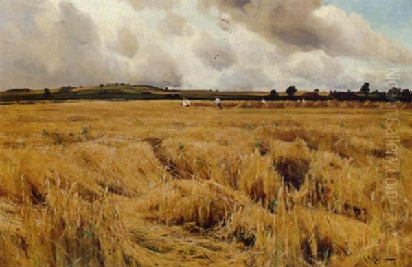 Harvesters - view 1