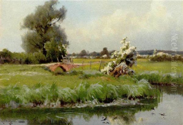 Summertime - view 1