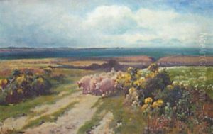 Coastal Landscape With Sheep Coastal Landscape With Sheep