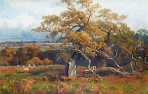 Donnington Park by Arthur William Redgate