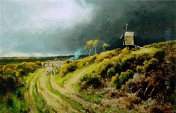 The Approaching Storm - view 1